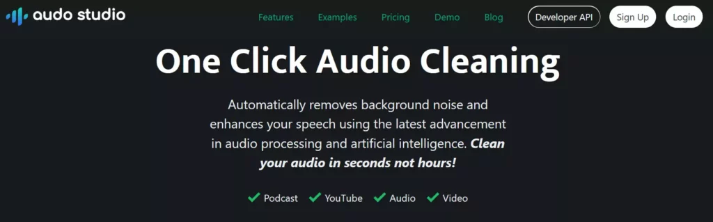 Audoai webpage showcasing one-click audio cleaning tool, simplifying the process of enhancing audio quality effortlessly.